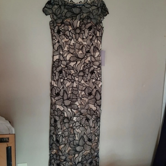 BHLDN Bevin DRESS SIZE 6 NWTS - Picture 3 of 5